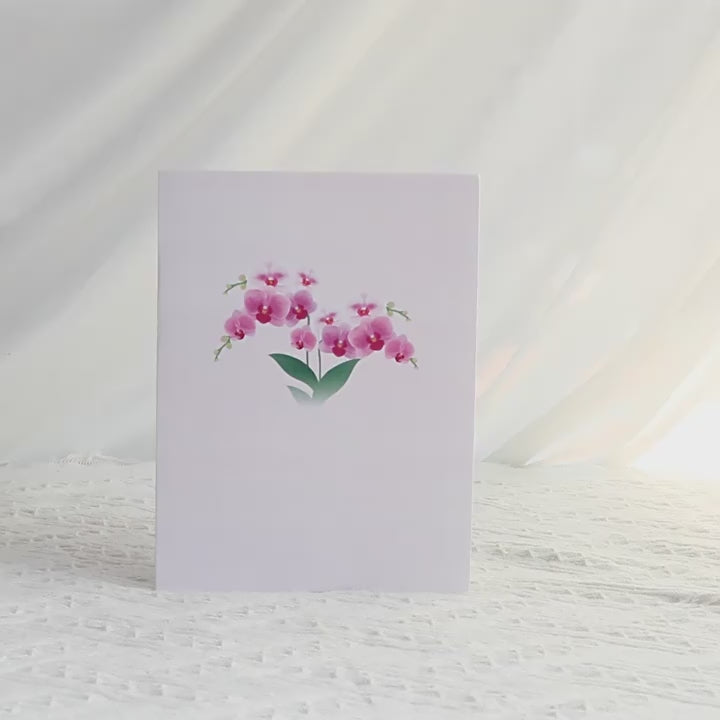 Phalaenopsis Orchid Pop Up Card | 3D Card | Mothers Day | Birthday Gift | Valentines Day | Greeting Card | Pink Flowers | Bloom